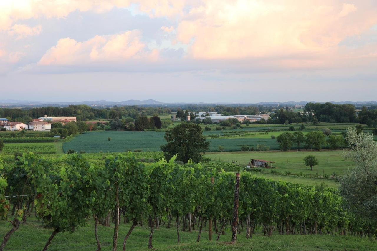 Ronc Dai Luchis Vila Faedis Exterior foto
